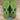 Nike Air Foamposite One Black Volt - sole