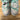 Nike Dunk Low Off-White Lot 4 - toe