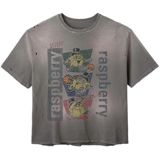 GV Gallery Raspberry Hills Macker V2 Tee Washed Grey