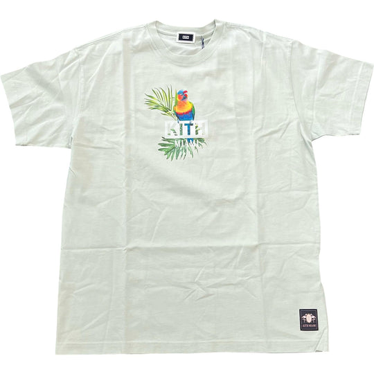 Kith Miami Exclusive Box Logo Macaw Tee Zen