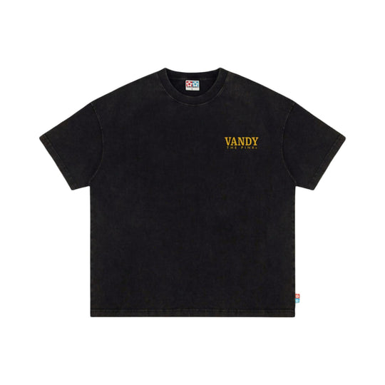 Vandy the Pink VIntage Flower Tee Washed Black