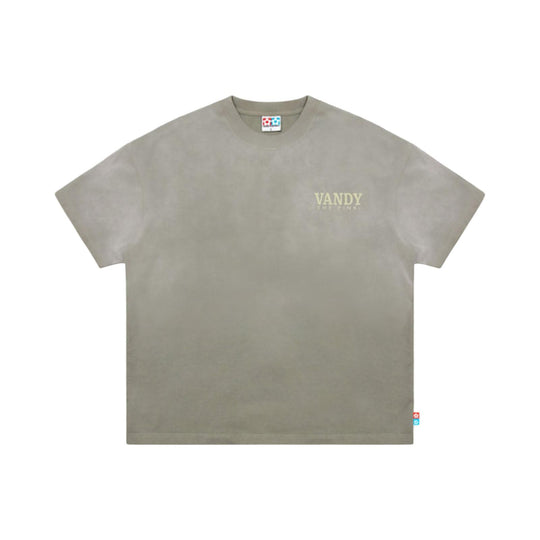 Vandy the Pink Vintage Flower Tee Washed Sage