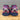 Saucony ProGrid Omni 9 Jae Tips To Do List Pink - back